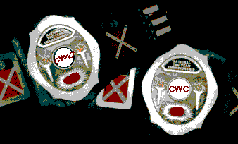 GRW Atlanta City Tag Team Title Belts